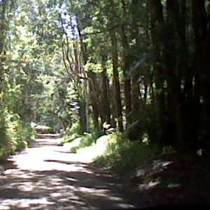 here i am, the same that i've always been