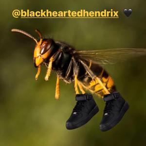 The BlackHearted Truth (feat. Rnm Karlo & Choppa Ghondi)