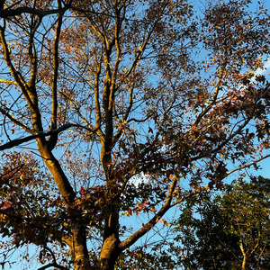 说太多不如沉默