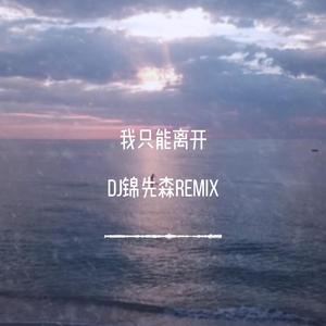 我只能离开（DJ锦先森 Remix）