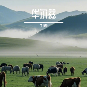 华尔兹