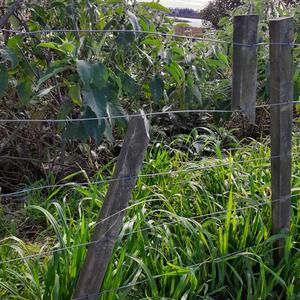 fencepost