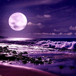 白月光的杀伤力