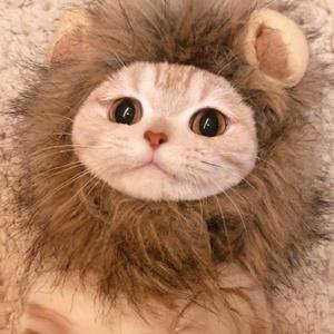 情人（翻自 蔡徐坤）