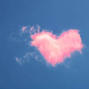 Полет любви