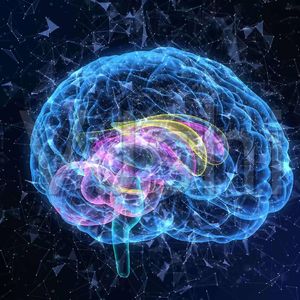 人类能数字永生吗