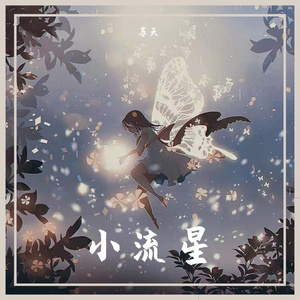 小流星...（翻自 汪苏泷）