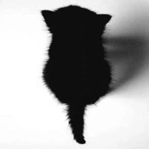 沉沦2.0（Prod By Roccky）