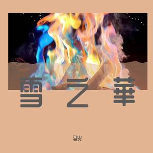 雪之華（雪之花）