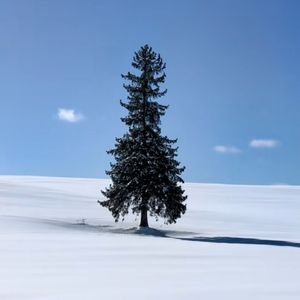 剩单节（Prod.Freeboy_Yan）