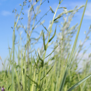 最怕有一天你离我远去