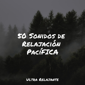 Sonido Relajante