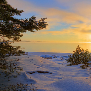 熬过了多少夜才能放下 (DJ城版)