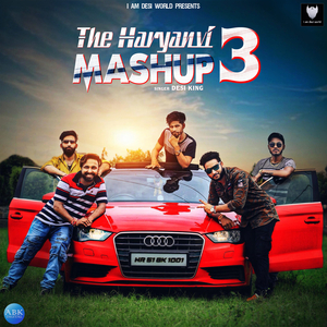 The Haryanvi Mashup 3