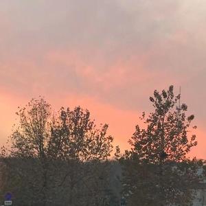 你的轮廓（片段女版）