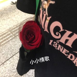小小情歌