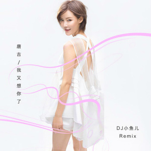 唐古-我又想你了(DJ晓凯 Remix)伴奏（DJ晓凯_Official Remix）