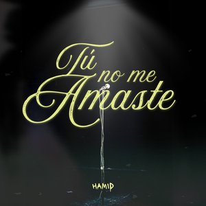 TÚ NO ME AMASTE