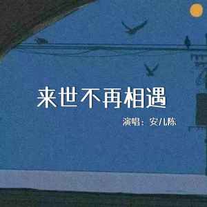 来世不再相遇