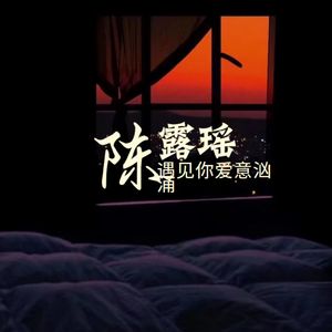 我的真心只给你