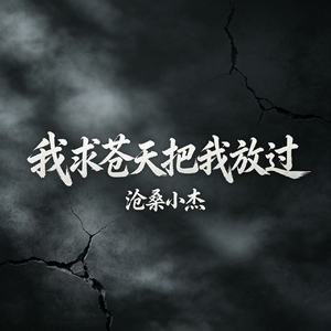 我求苍天把我放过
