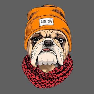 Freestyle Type Beat "Cool dog"