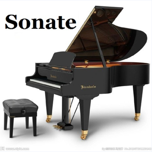 升c小调奏鸣曲1乐章