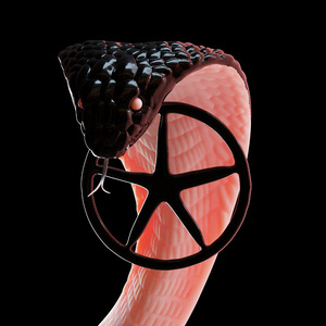 Start Trippin (Caroux Remix)