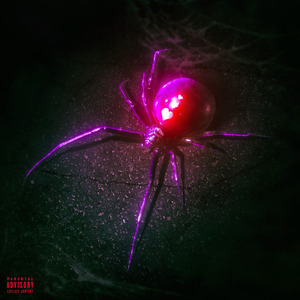 Preguntale a la Luna