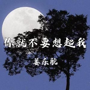 你就不要想起我