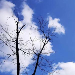 愿永远守候着你