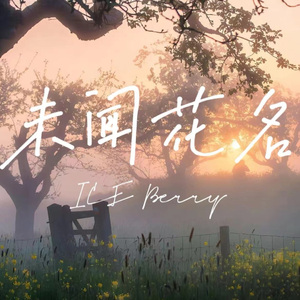 未闻花名（Prod by BECU BEATS）
