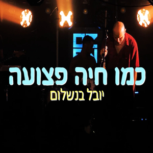 כמו חיה פצועה