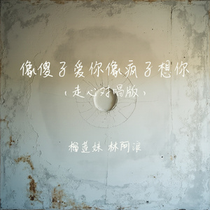 像傻子爱你像疯子想你(走心对唱版)