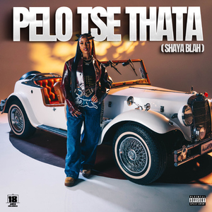 Pelo Tse Thata (feat. Mulest Vankay & DJ Maphorisa)