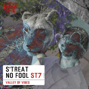 No Fool
