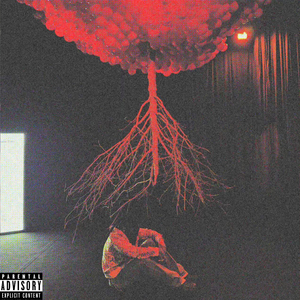NOV 20TH