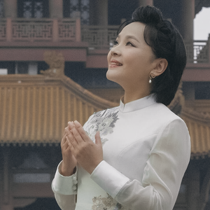 满城樱花又开了