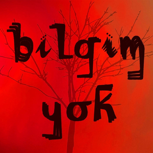 Bilgim Yok