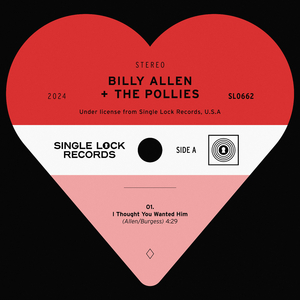 I Thought You Wanted Him