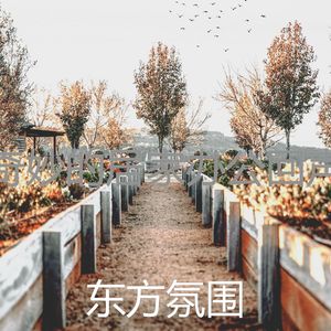 杰出的睡眠情怀