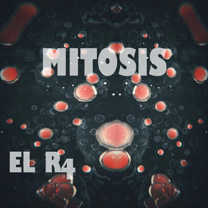 Mitosis