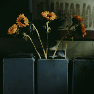 Почему так?