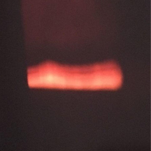 Can't Help Falling In Love