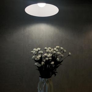 大眠【吉他弹唱版】