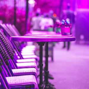 温和秋天的共鸣梦想