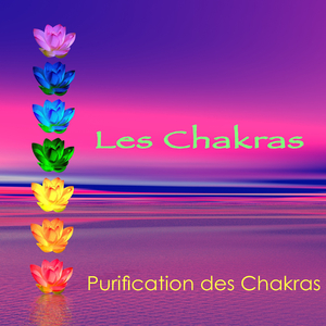 Chakra racine, du périnée (1ère chakra)