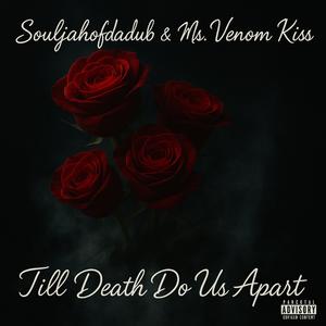 Never To Late (feat. Ms.Venom Kiss)