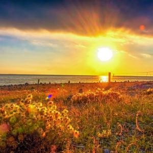 做设计的男女是模范