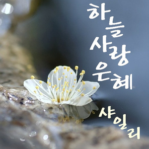 하늘 사랑 은혜